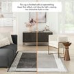 Nourison Desire DSR01 Modern Indoor Rug
