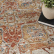 Nourison Sahar SHR06 Vintage Indoor Rug