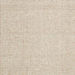 Surya Aiden AEN-1000 Rug