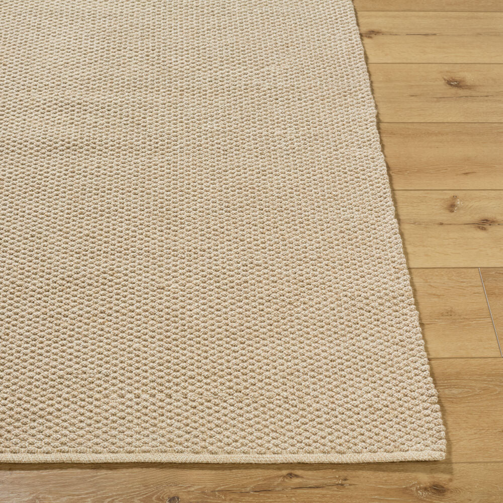 Livabliss by Surya Ahlat AHT-2305 Handmade Rug Clearance