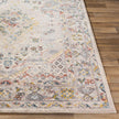 Livabliss by Surya Ankara AKR-2301 Machine Woven Rug