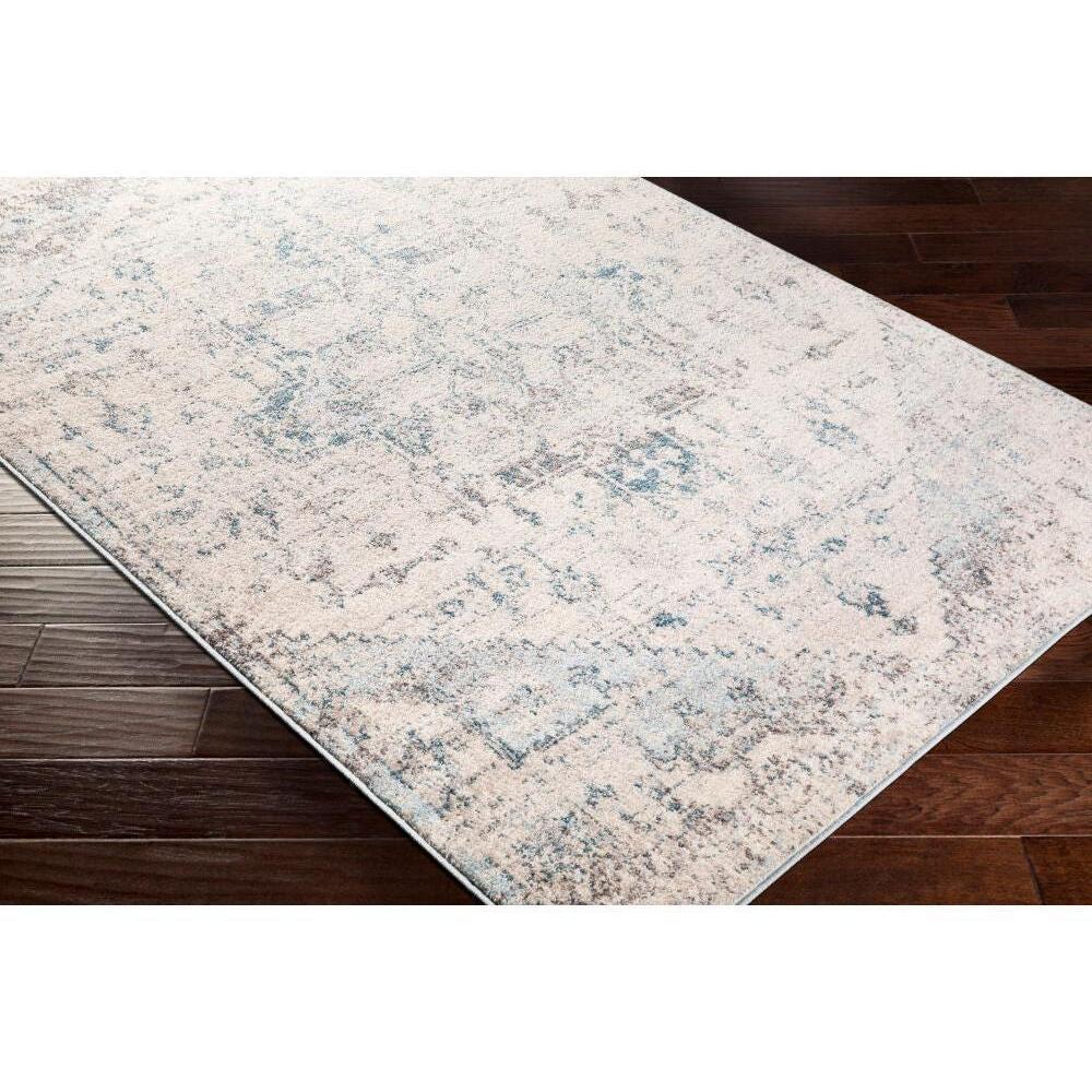 Livabliss by Surya Ankara AKR-2310 Machine Woven Rug