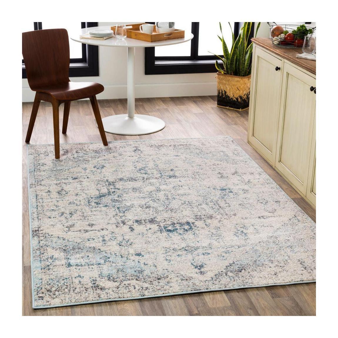 Livabliss by Surya Ankara AKR-2310 Machine Woven Rug