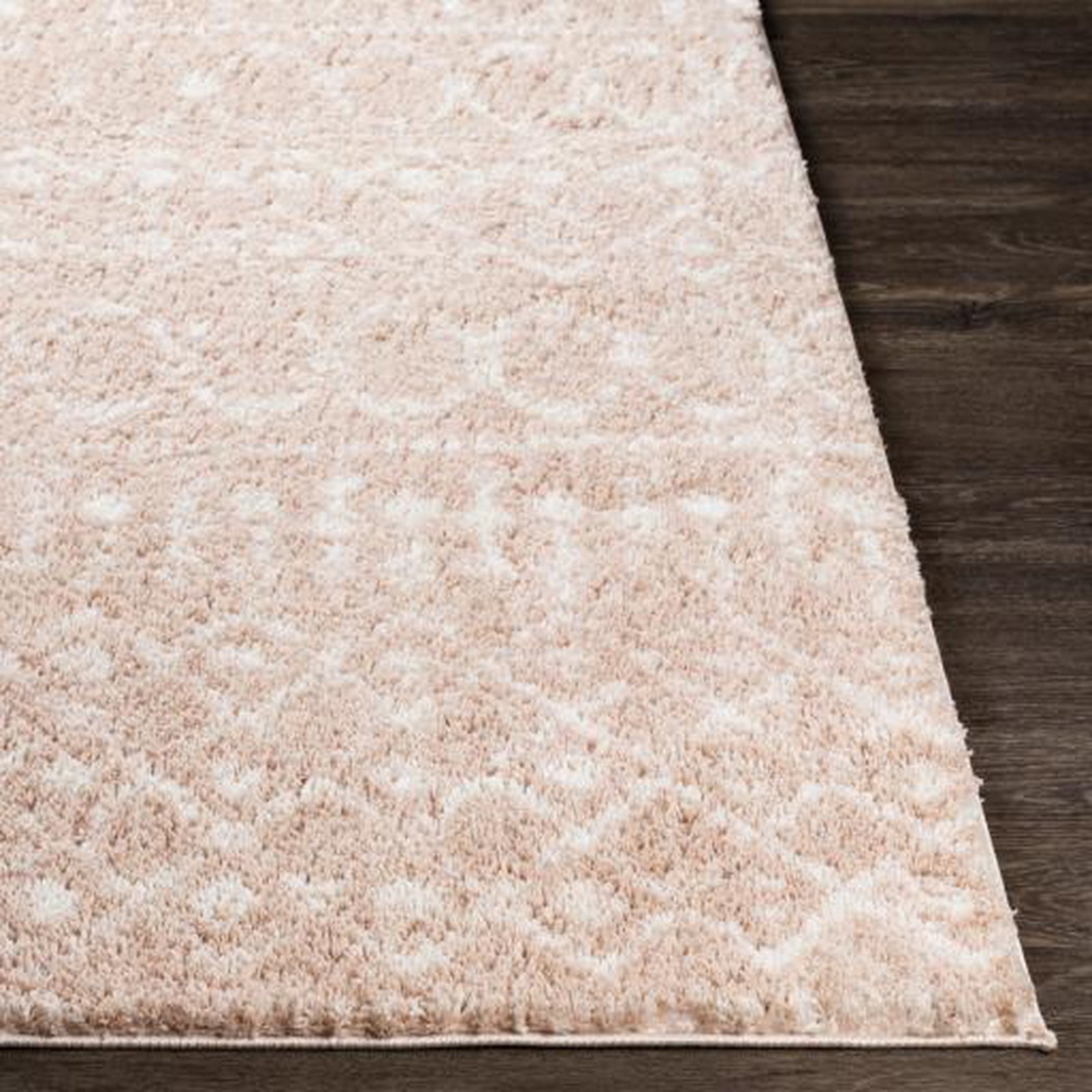 Livabliss by Surya Aliyah shag ALH-2300 Rug
