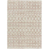 Livabliss by Surya Aliyah shag ALH-2301 Rug