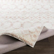 Livabliss by Surya Aliyah shag ALH-2301 Rug