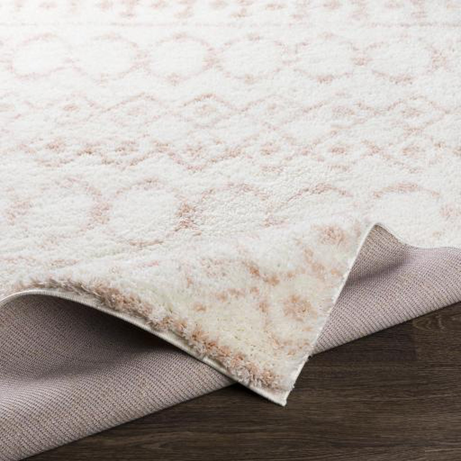 Livabliss by Surya Aliyah shag ALH-2301 Rug