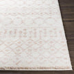 Livabliss by Surya Aliyah shag ALH-2301 Rug