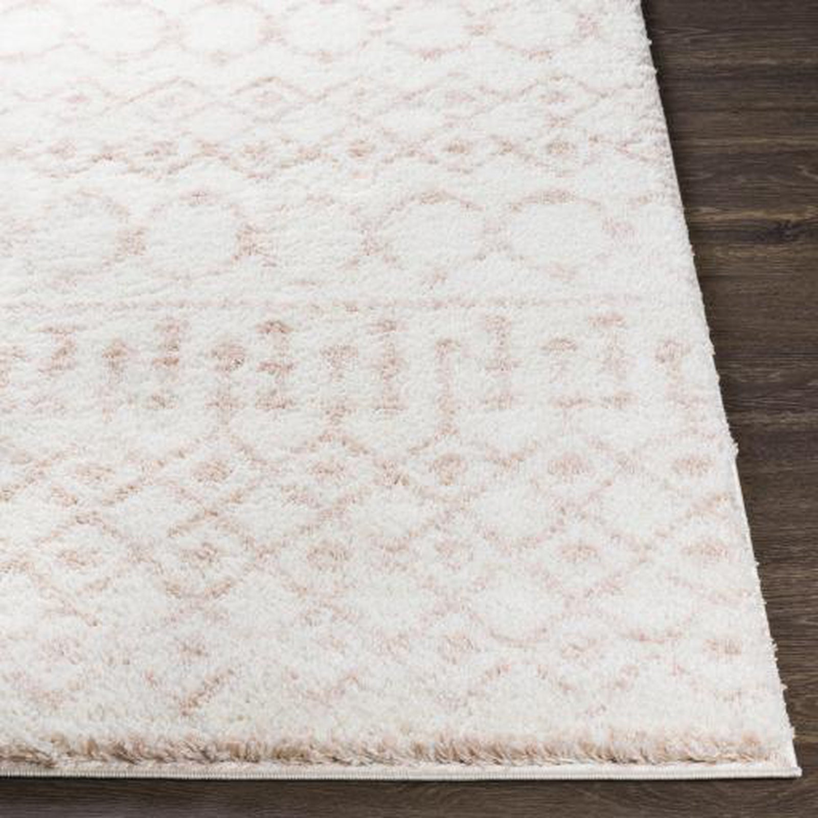 Livabliss by Surya Aliyah shag ALH-2301 Rug