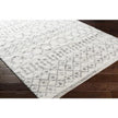 Livabliss by Surya Aliyah shag ALH-2302 Rug