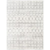 Livabliss by Surya Aliyah shag ALH-2302 Rug