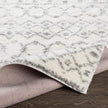 Livabliss by Surya Aliyah shag ALH-2302 Rug