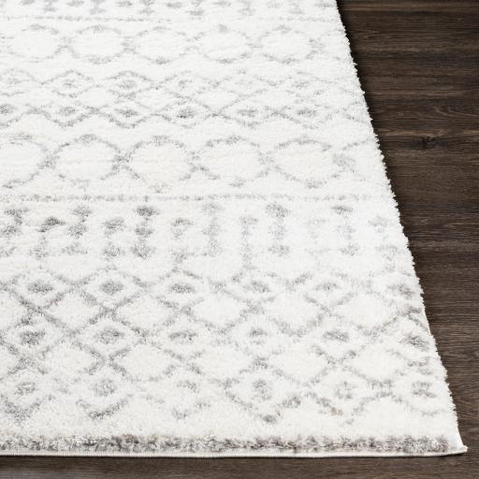 Livabliss by Surya Aliyah shag ALH-2302 Rug