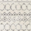 Livabliss by Surya Aliyah shag ALH-2302 Rug