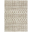 Livabliss by Surya Aliyah shag ALH-2303 Rug