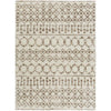 Livabliss by Surya Aliyah shag ALH-2303 Rug