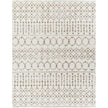 Livabliss by Surya Aliyah shag ALH-2303 Rug