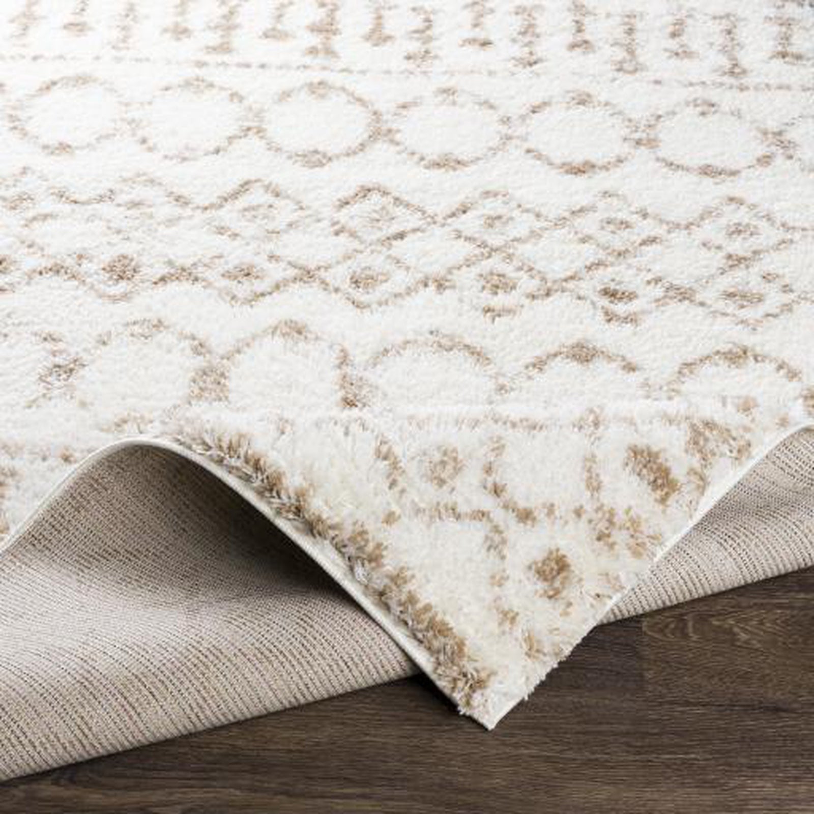 Livabliss by Surya Aliyah shag ALH-2303 Rug