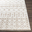 Livabliss by Surya Aliyah shag ALH-2303 Rug