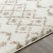Livabliss by Surya Aliyah shag ALH-2303 Rug