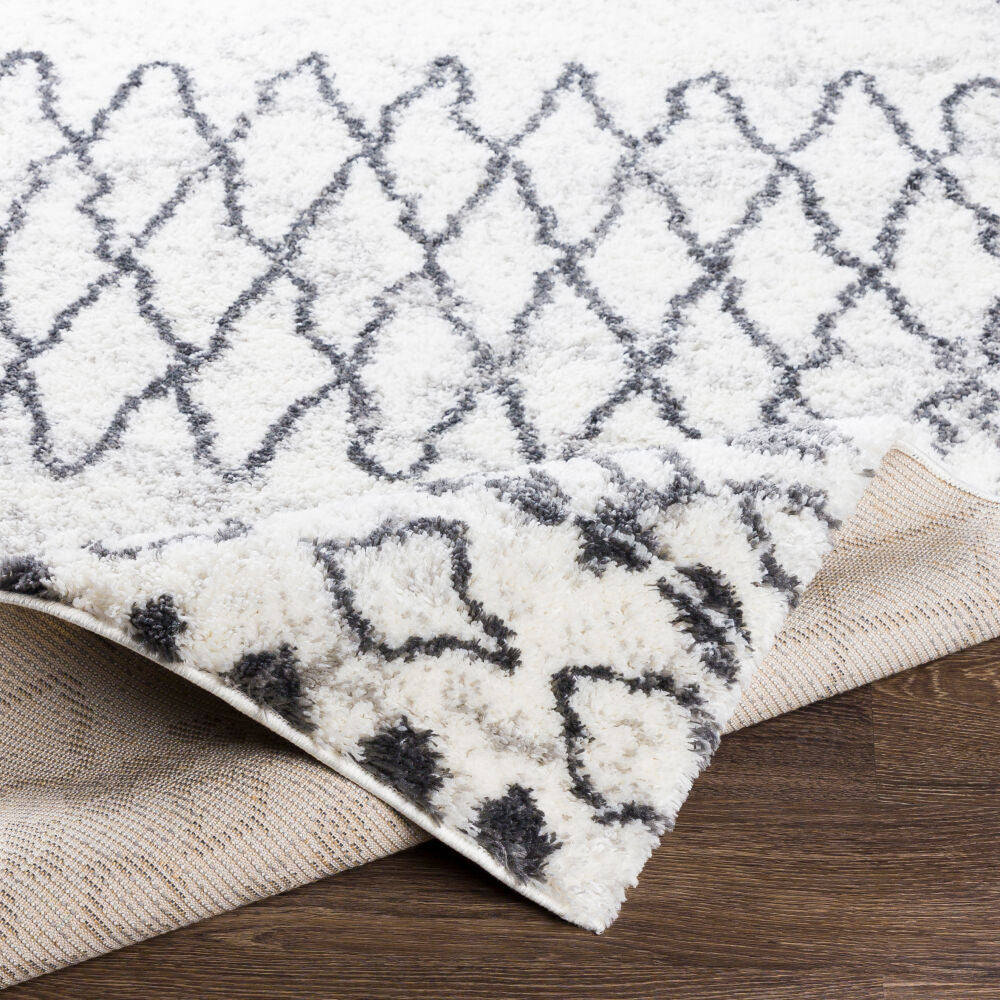Surya Aliyah Shag ALH-2311 Machine Woven Rug Clearance