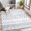 Surya Aliyah Shag ALH-2311 Machine Woven Rug Clearance