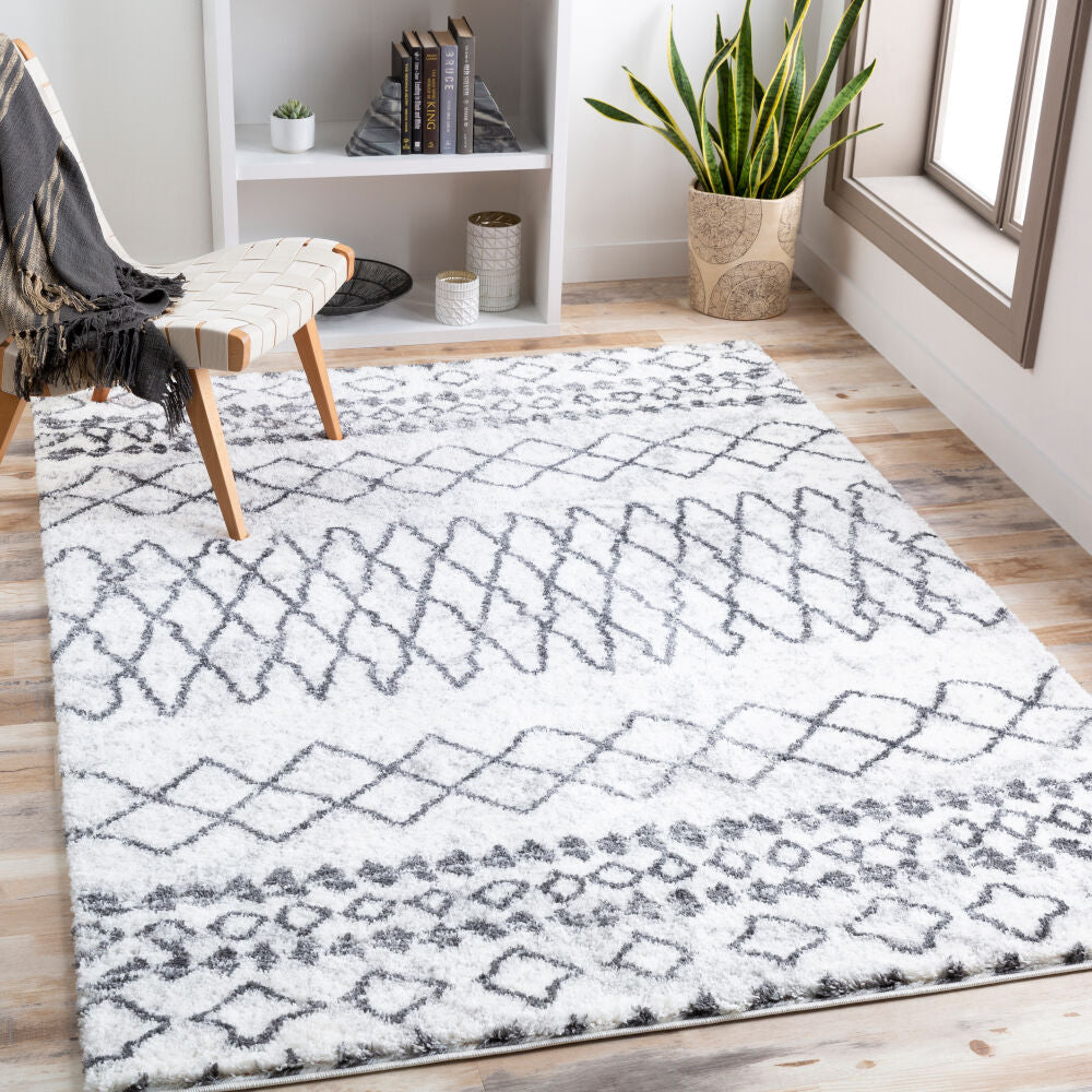 Surya Aliyah Shag ALH-2311 Machine Woven Rug Clearance
