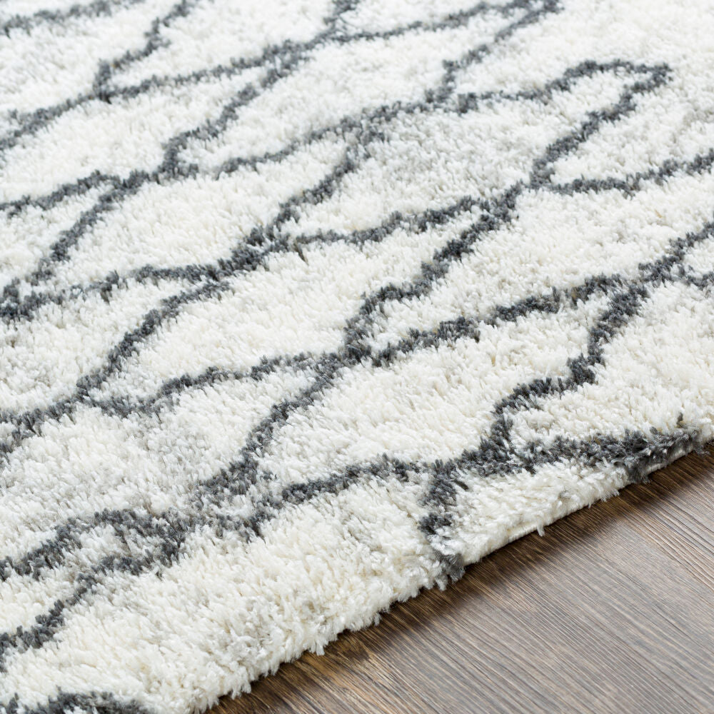 Surya Aliyah Shag ALH-2311 Machine Woven Rug Clearance