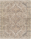Livabliss by Surya Amelie AML-2383 Machine Woven Rug