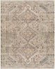 Livabliss by Surya Amelie AML-2383 Machine Woven Rug
