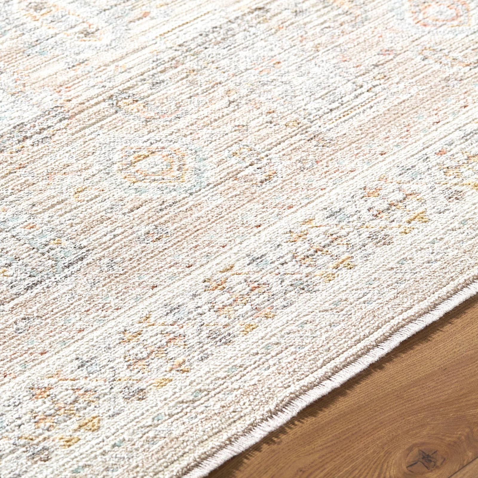 Livabliss by Surya Amir AMR-2300 Machine Woven Rug