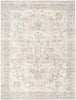 Livabliss by Surya Amir AMR-2302 Machine Woven Rug