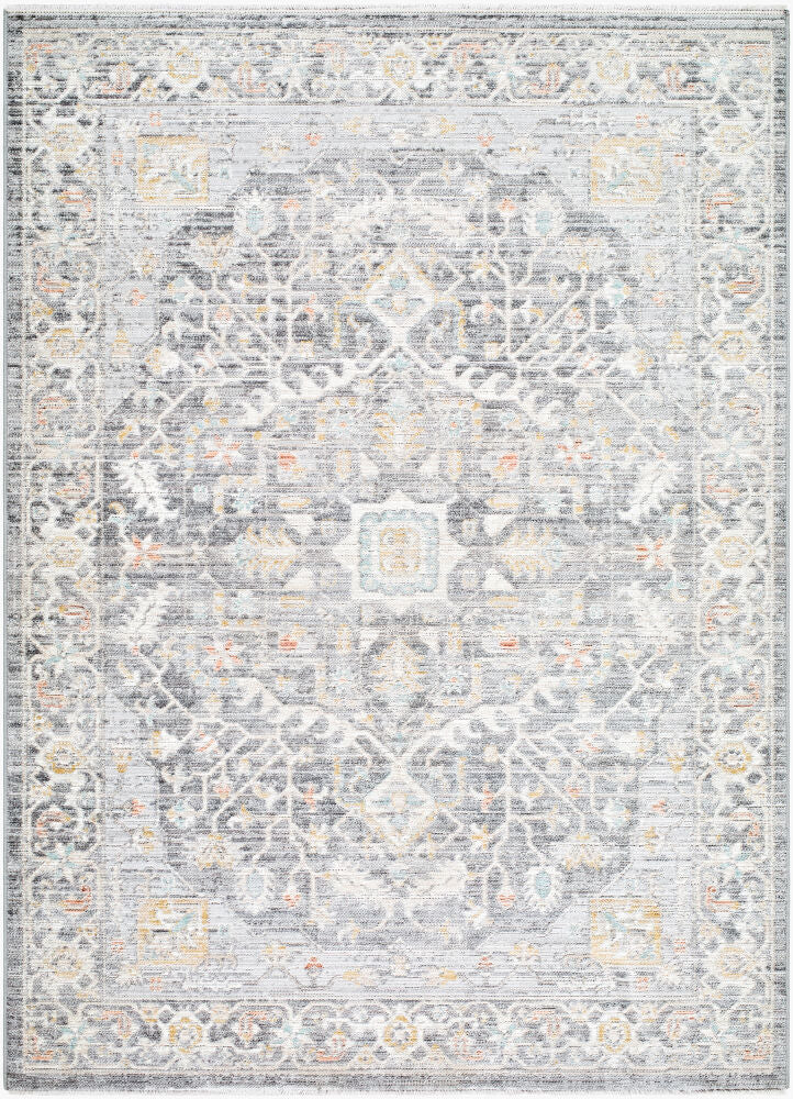 Livabliss by Surya Amir AMR-2303 Machine Woven Rug