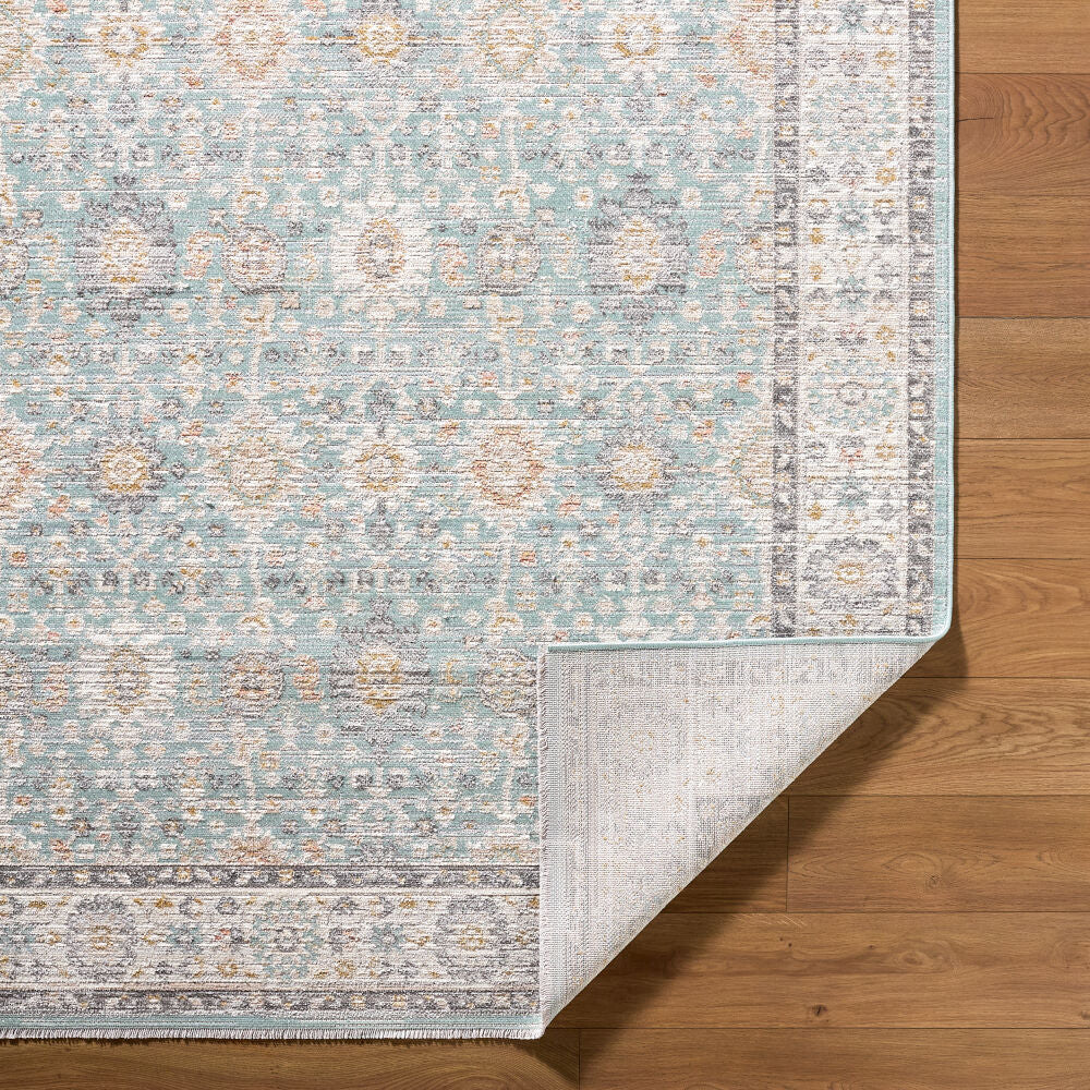 Livabliss by Surya Amir AMR-2304 Machine Woven Rug