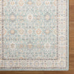 Livabliss by Surya Amir AMR-2304 Machine Woven Rug