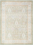 Livabliss by Surya Amir AMR-2306 Machine Woven Rug