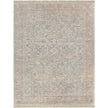Surya Amasya AMY-2303 Hand Woven Rug