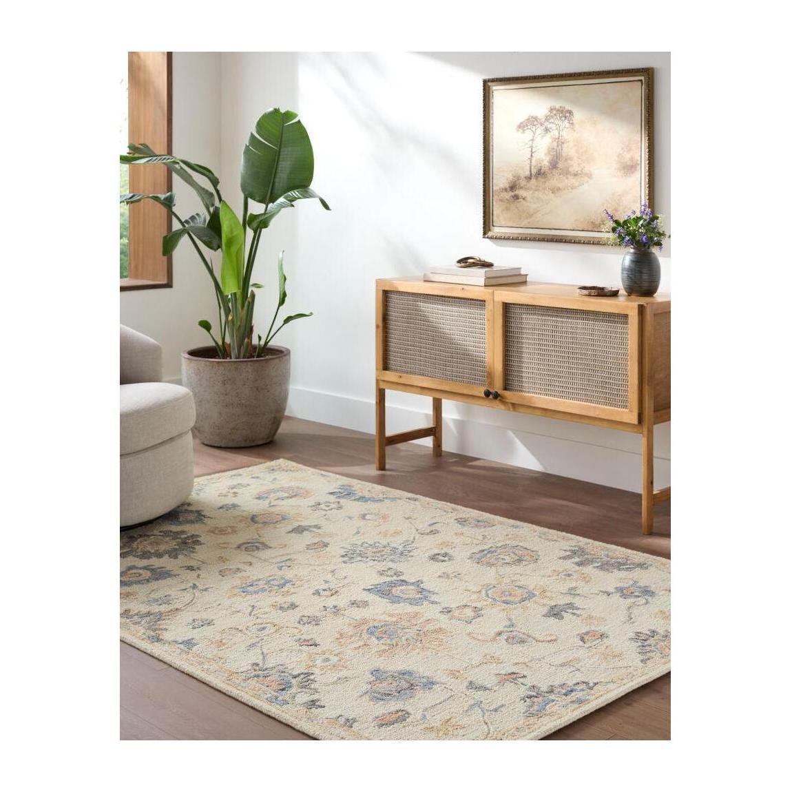 Livabliss by Surya Arnold AOD-2304 Handmade Rug
