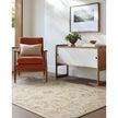 Livabliss by Surya Arnold AOD-2305 Handmade Rug