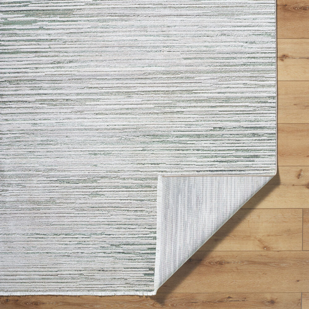 Surya Alston AON-2303 Machine Woven Rug