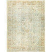 Surya Antique One of a Kind AOOAK-1781 Handmade Rug