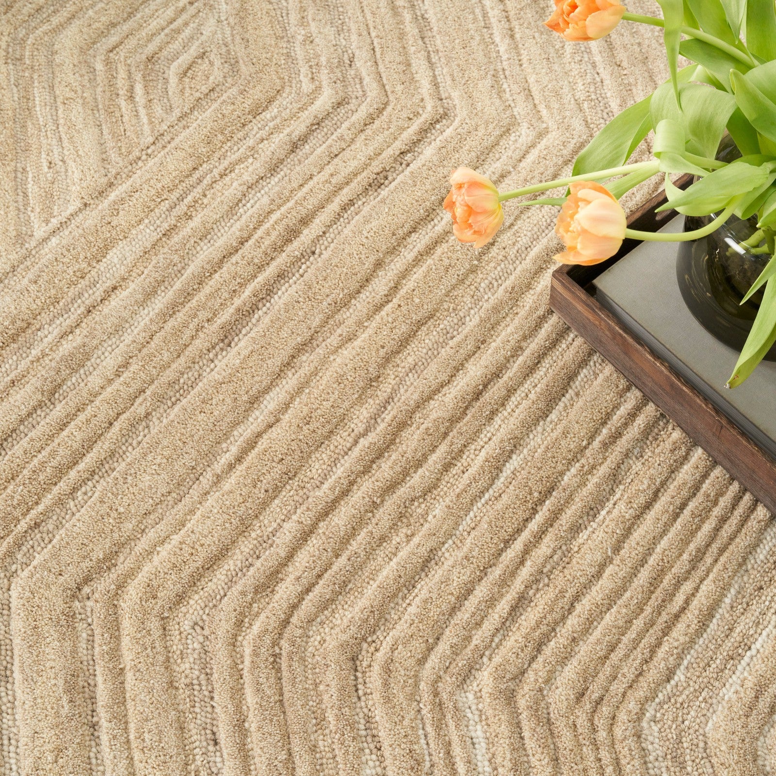 Nourison Graceful GRU03 Modern Indoor Rug