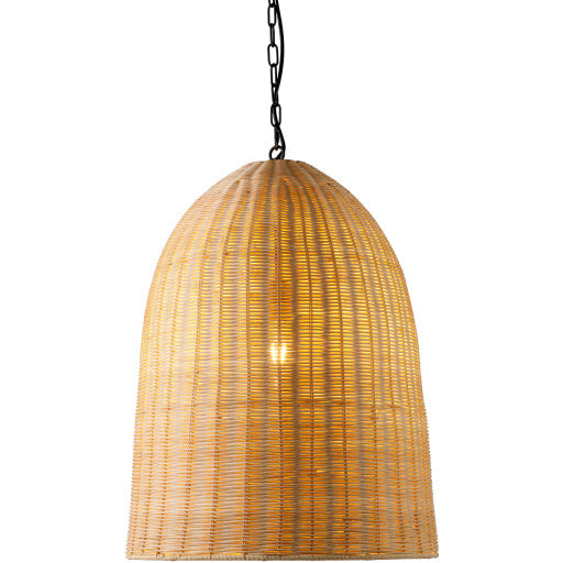 Surya Arboria Pendant ARI-001 Clearance