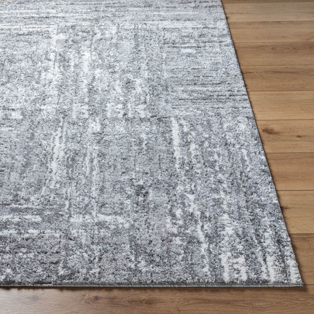 Livabliss by Surya Andorra Plus ARP-2304 Machine Woven Rug Charcoal/Light Gray