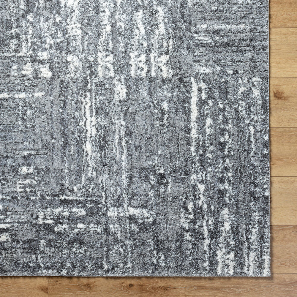 Livabliss by Surya Andorra Plus ARP-2304 Machine Woven Rug Charcoal/Light Gray