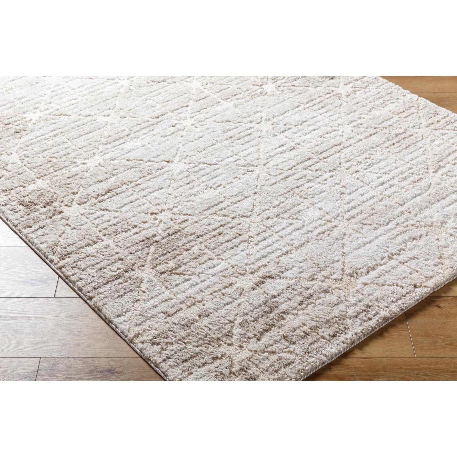 Livabliss by Surya ARP-2306 Andorra Plus Machine Woven Rug