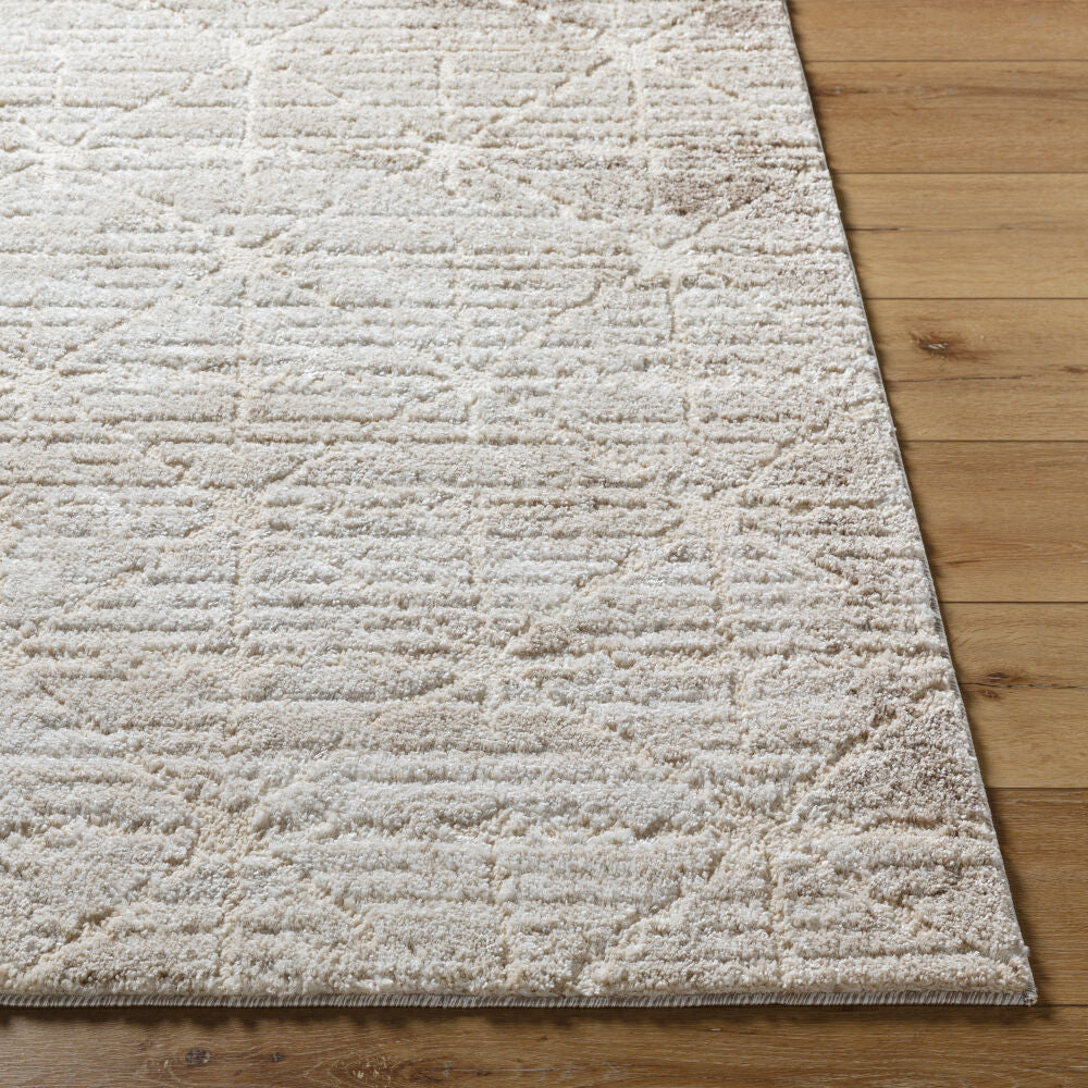 Livabliss by Surya ARP-2306 Andorra Plus Machine Woven Rug