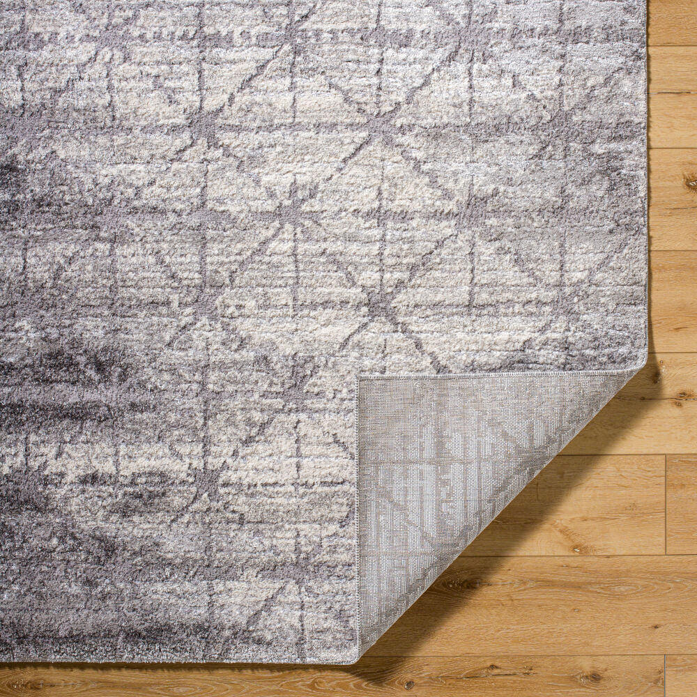 Livabliss by Surya Andorra Plus ARP-2307 Machine Woven Rug