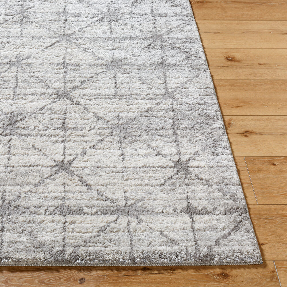 Livabliss by Surya Andorra Plus ARP-2307 Machine Woven Rug