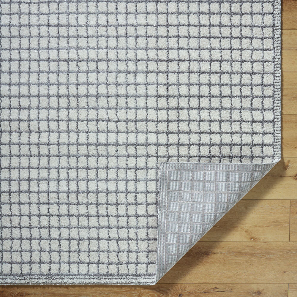 Livabliss by Surya ARP-2309 Andorra Plus Machine Woven Rug